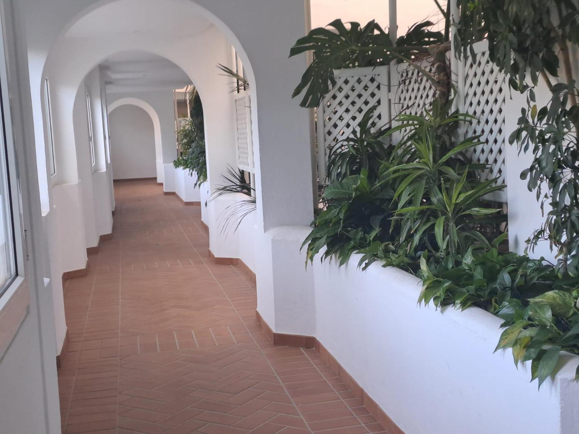 Luminous In Playas Del Duque , Puerto Banus By Holidays & Apartamento *